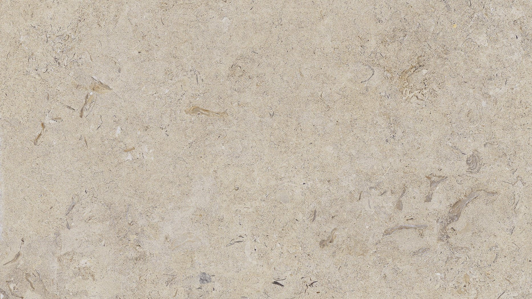 Kalksten Klinker Beige Matt Rect. 60x120 CM Klinker - Image 4