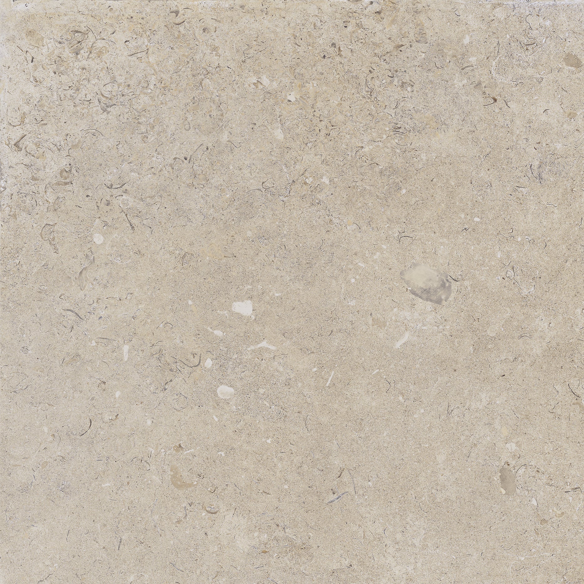 Kalksten Klinker Beige Matt Rect. 60x60 CM Klinker - Image 10