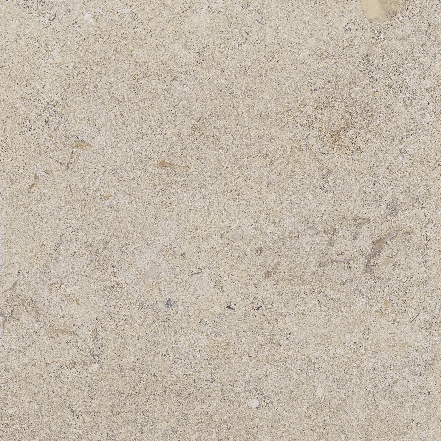 Kalksten Klinker Beige Matt Rect. 60x60 CM Klinker - Image 11