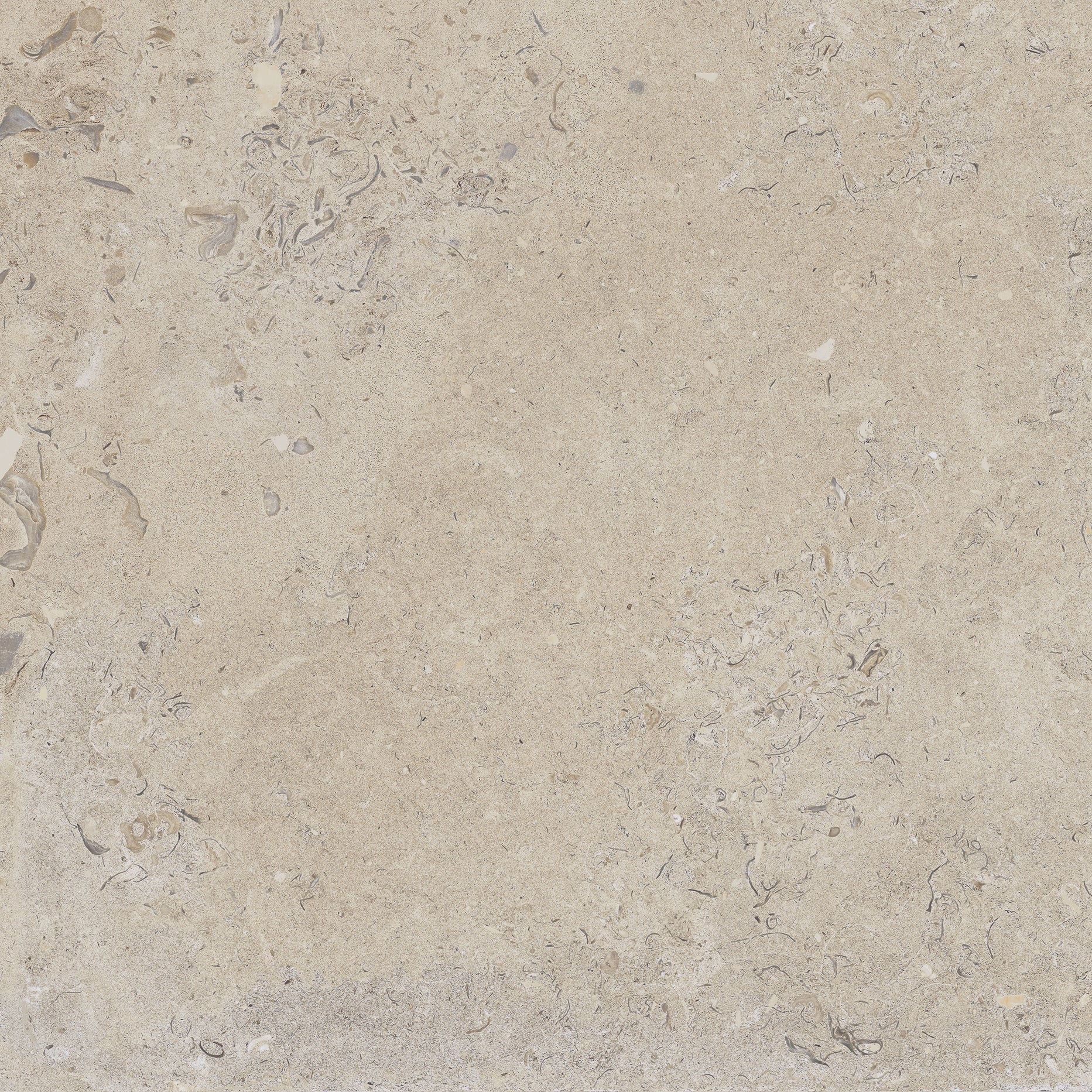 Kalksten Klinker Beige Matt Rect. 60x60 CM Klinker - Image 5