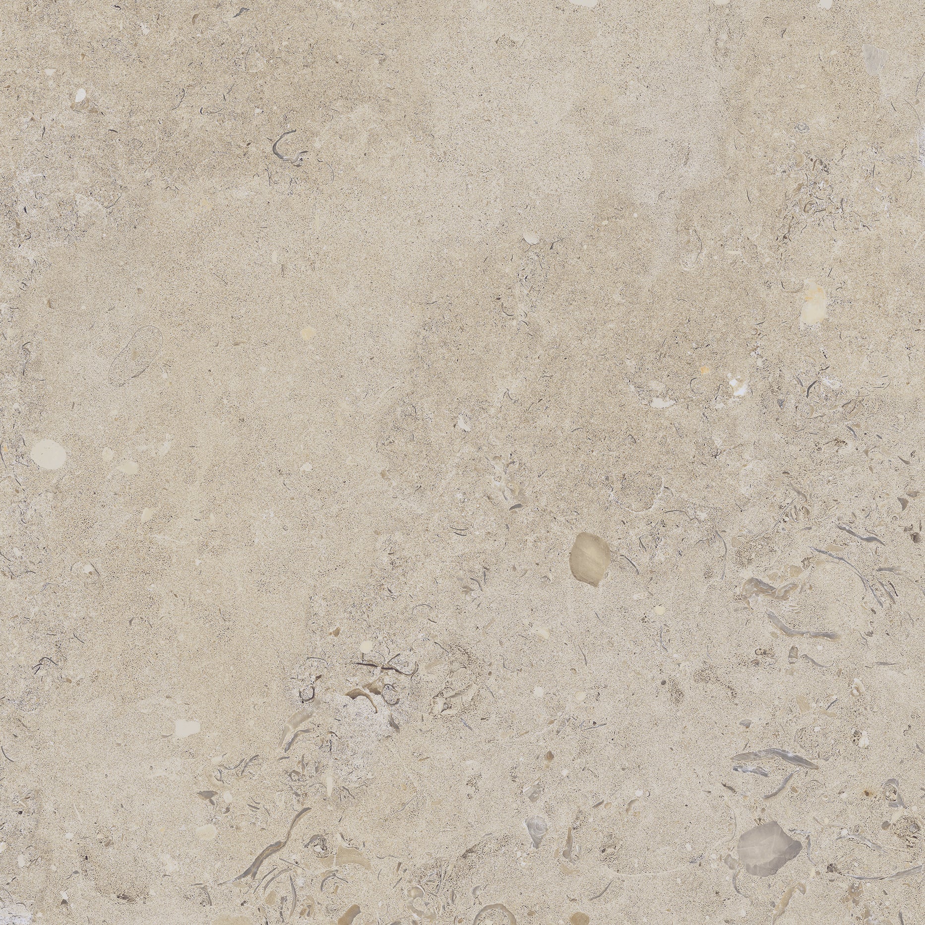 Kalksten Klinker Beige Matt Rect. 60x60 CM Klinker - Image 7