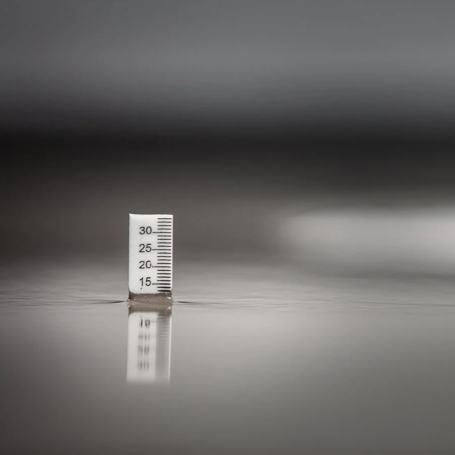 Miniatyrbild 2