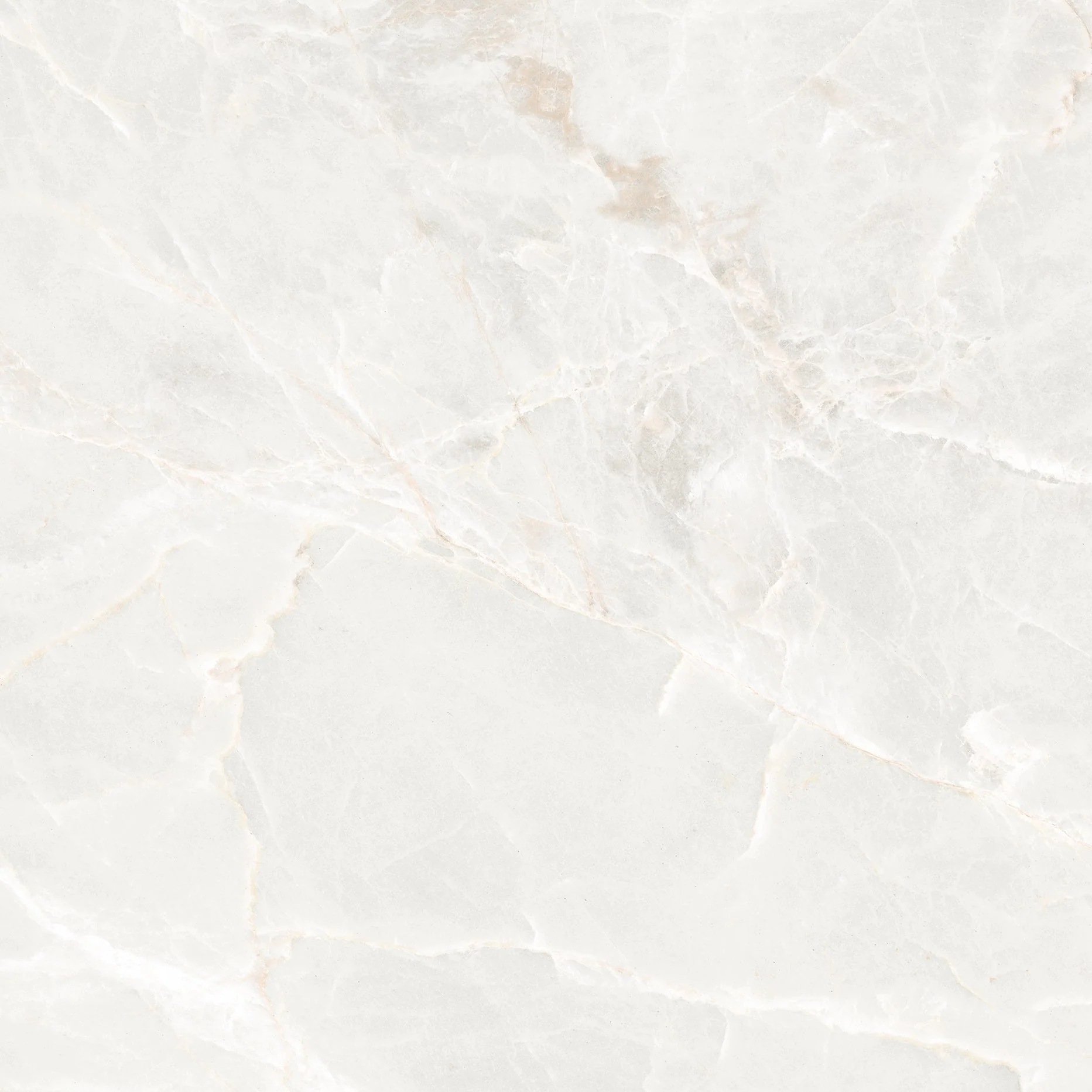 Royal Marbles White Matt Rect. 60x60 CM Klinker